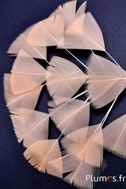 Petali in piume - 6-8 cm x 3-4 cm - salmone 